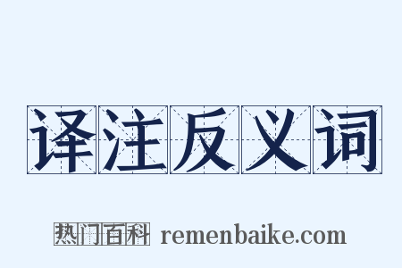 译注反义词是什么意思的图片